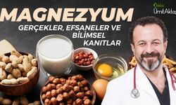 MAGNEZYUMDA ASIL OLAN EMİLİM ORANIDIR