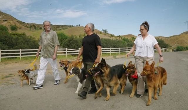 ‘Cesar Millan: İyi İnsan, İyi Köpek’